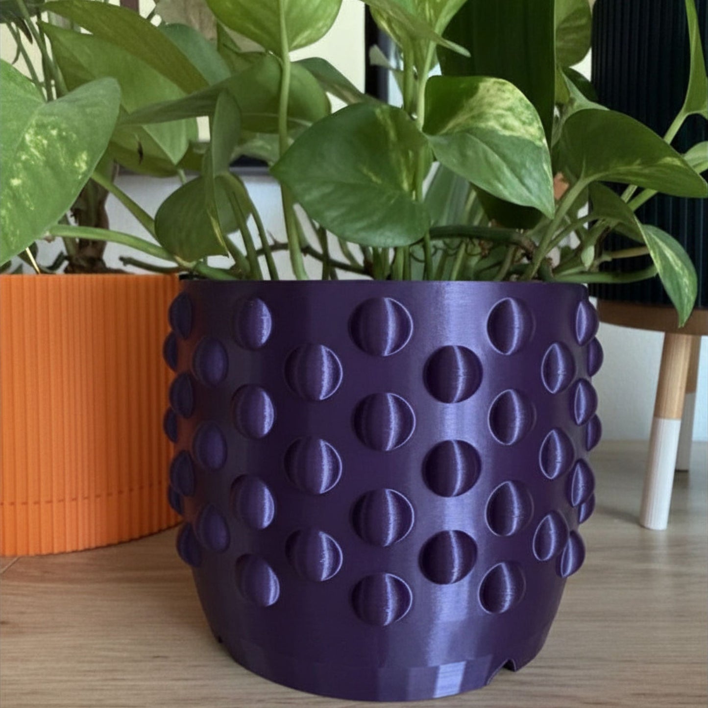 DOTTED  PLANTER  - choose your size and color