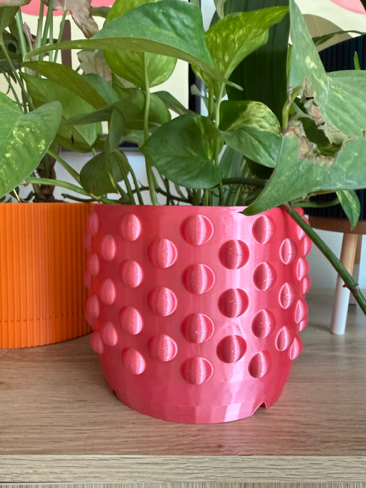DOTTED MEDIUM PLANTER - M0006 - 6 x 4