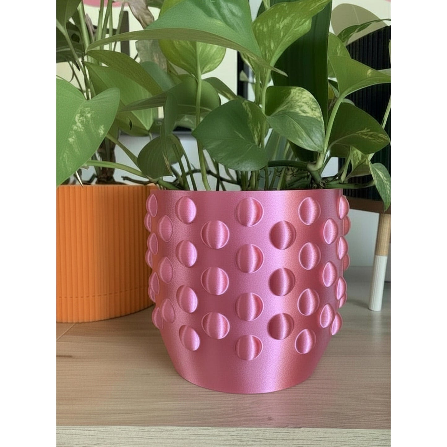 DOTTED  PLANTER  - choose your size and color