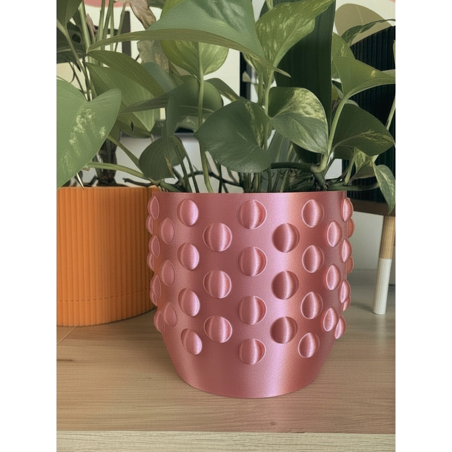 DOTTED  PLANTER  - choose your size and color