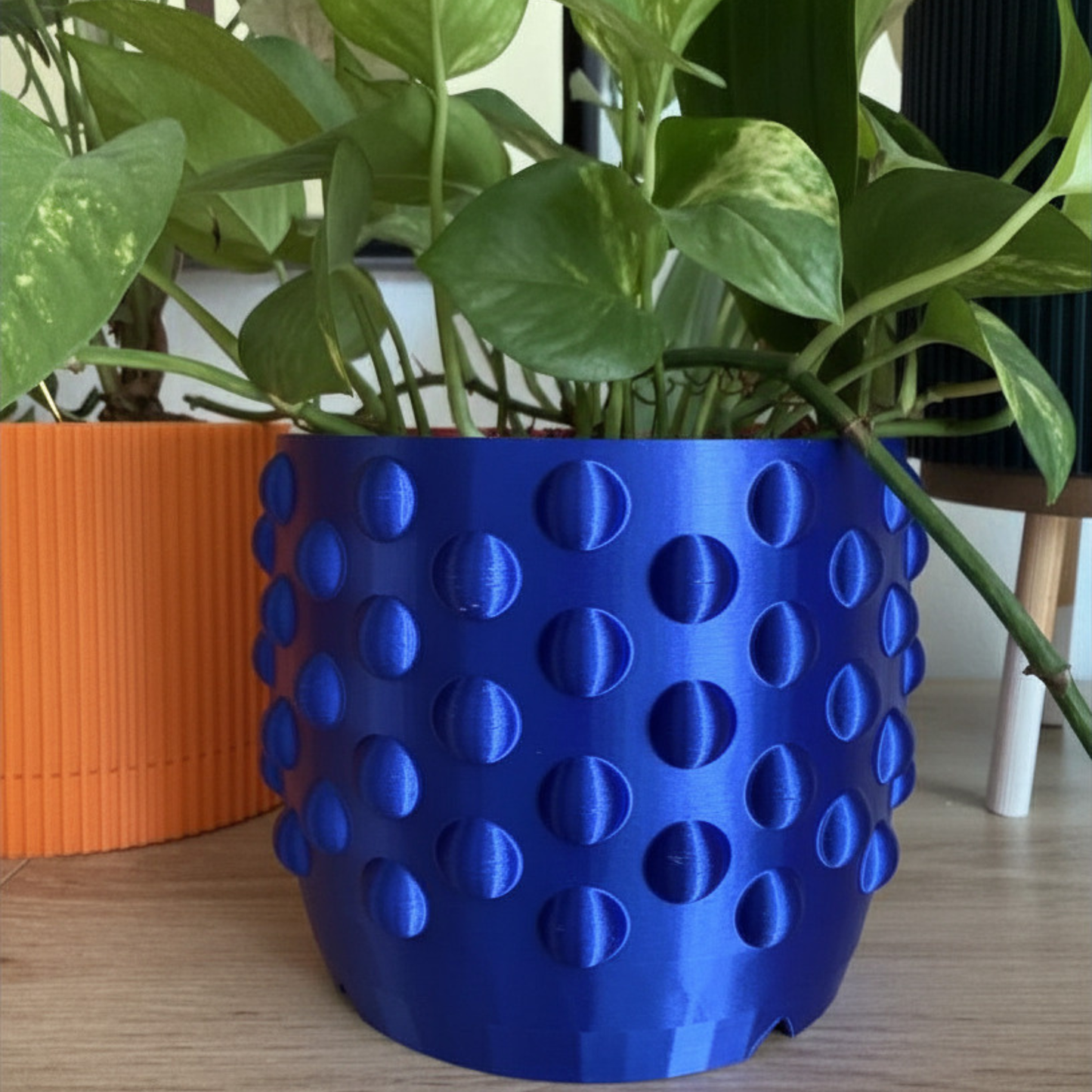 DOTTED  PLANTER  - choose your size and color