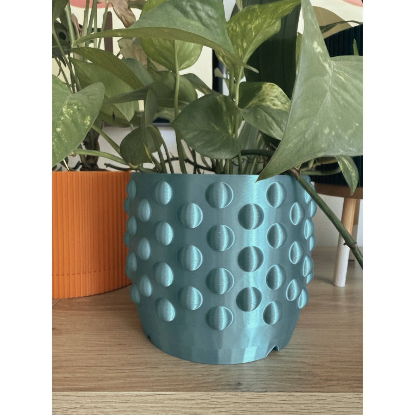 DOTTED  PLANTER  - choose your size and color