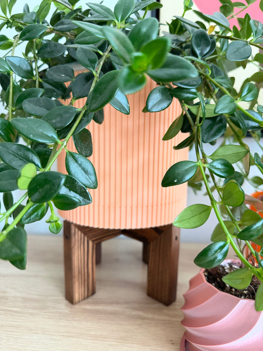 MODERN RIBBED LARGE PLANTER with TRAY - M0002 - 8" wide x 6" tall