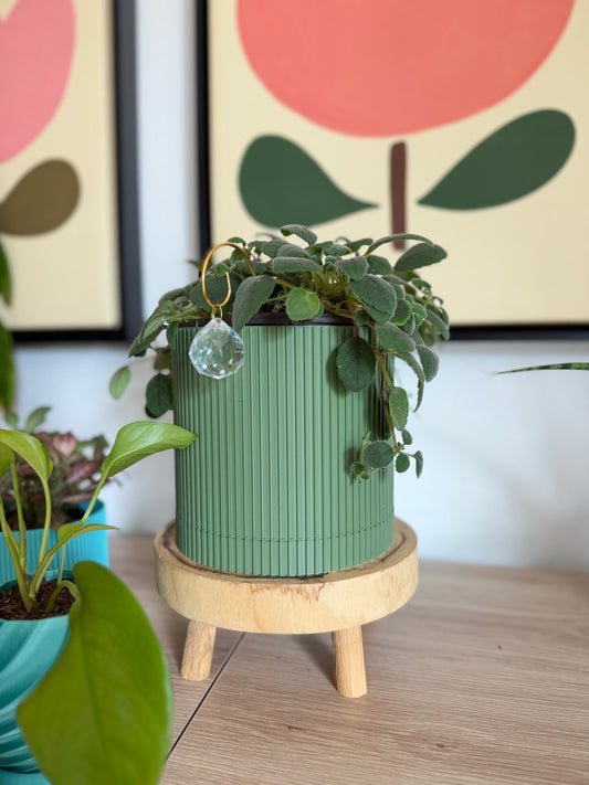 MODERN RIBBED MEDIUM PLANTER with TRAY - M0003 - 6" wide x 4" tall