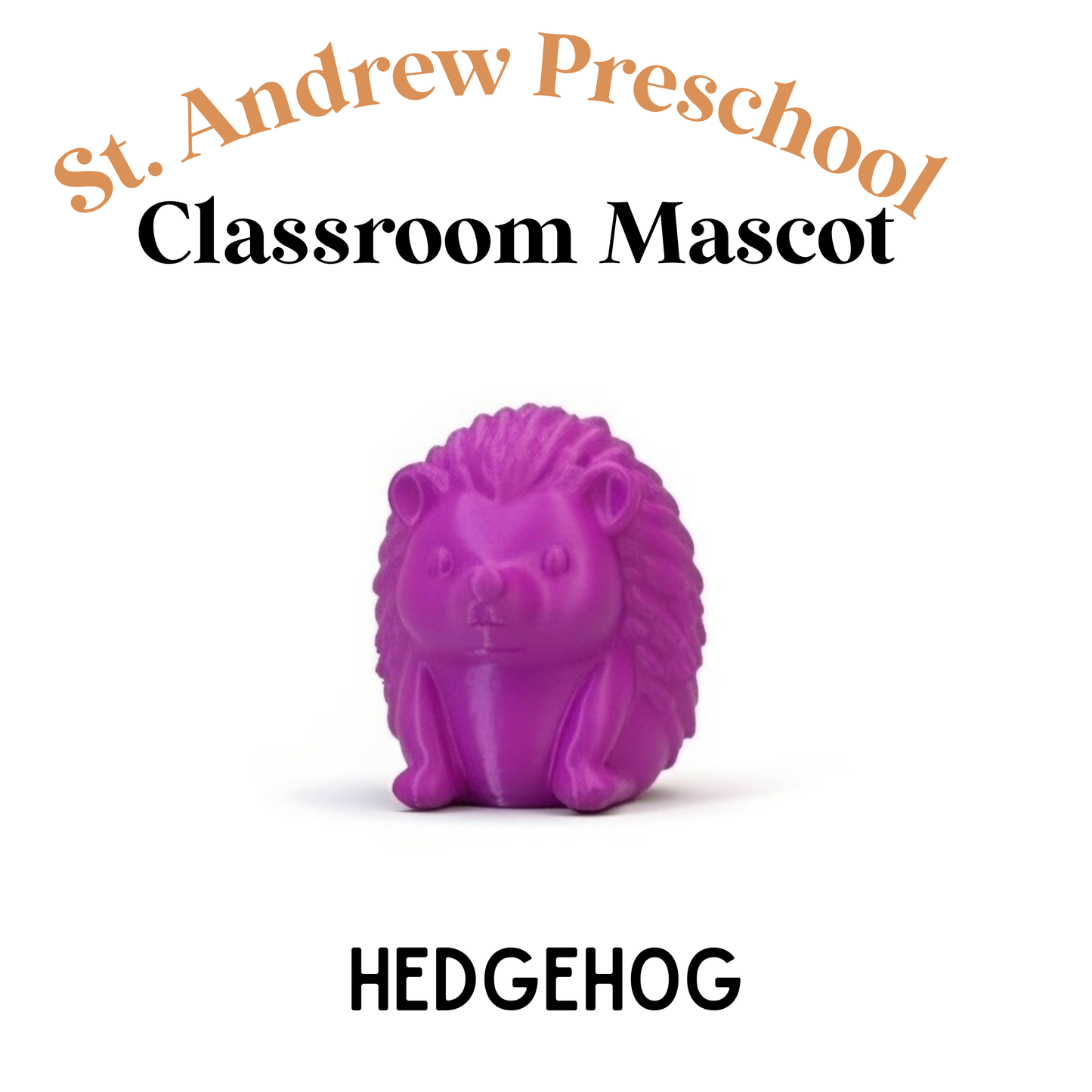 CLASSROOM MASCOT KEYCHAINS - choice of keychain & color
